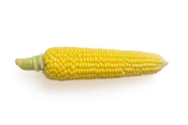 Green corn