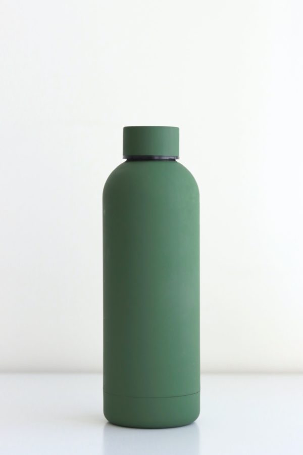Plant insecticide