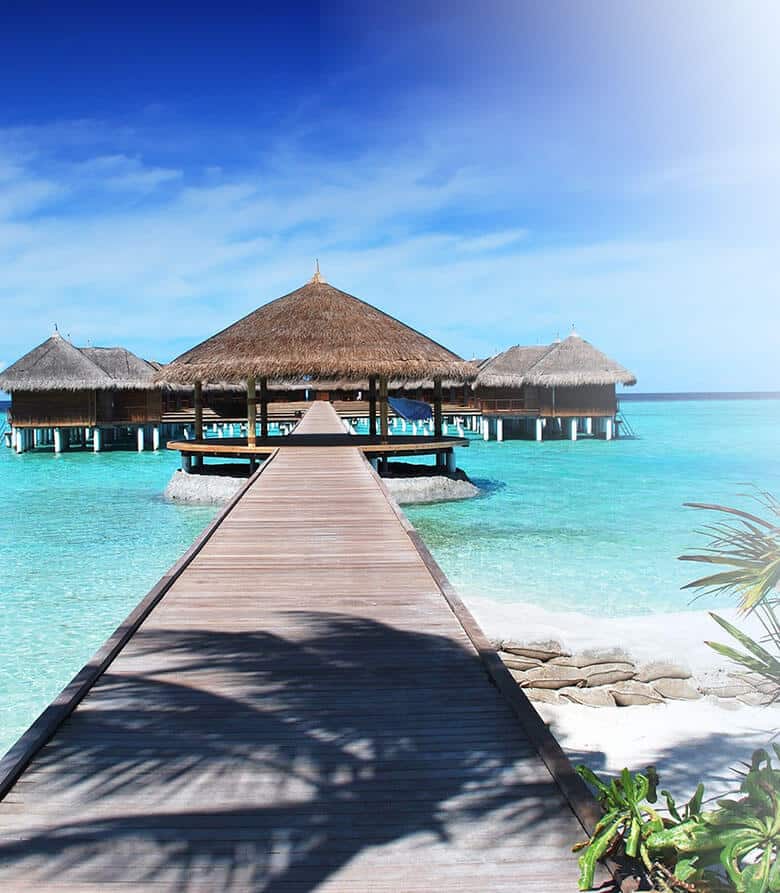 Hotel-WordPress-Theme-Column-Background-image-8