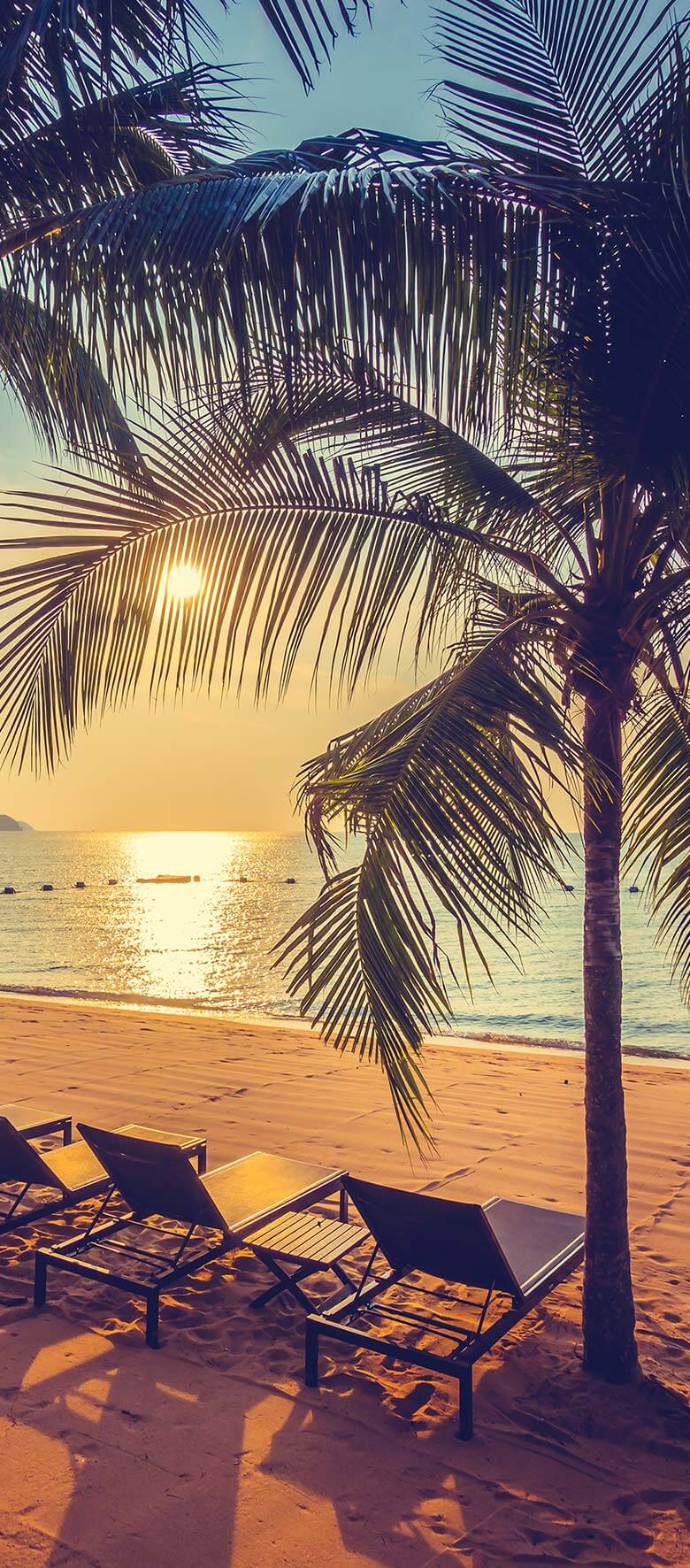Hotel-WordPress-Theme-Column-Background-image-9