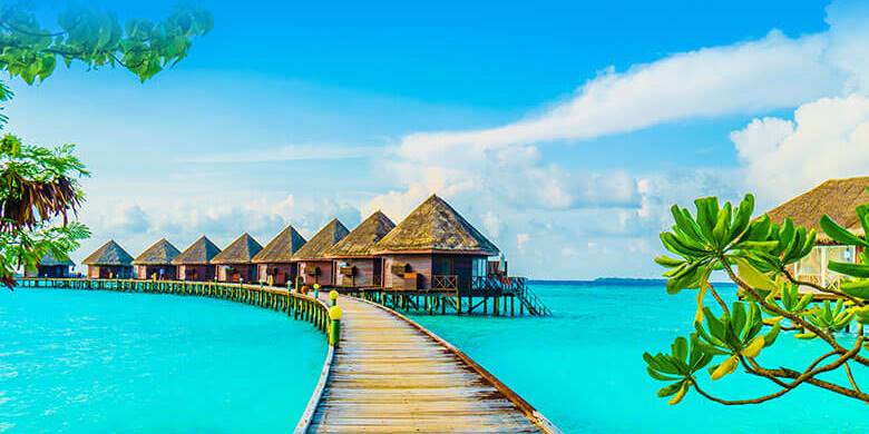 Hotel-WordPress-Theme-Column-Background-image-2